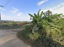  Grundstück zu verkaufen in Doi Luang, Chiang Rai, Pong Noi, Doi Luang, Chiang Rai