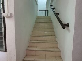 30 Bedroom Whole Building for sale in Talat Nuea, Phuket, Talat Nuea, Phuket Town, Phuket