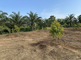  Land for sale in Phangnga, Kalai, Takua Thung, Phangnga
