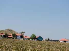 ขายที่ดิน ใน ปราณบุรี ประจวบคีรีขันธ์, วังก์พง, ปราณบุรี