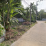 在San Sai Luang, 讪柿出售的 土地, San Sai Luang