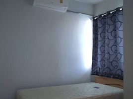 3 Schlafzimmer Haus zu vermieten im The Colors Leisure Bangna KM.8, Bang Phli Yai, Bang Phli