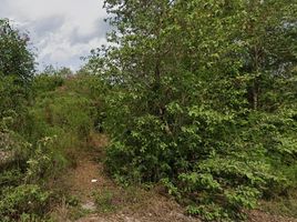  Land for sale in Bang Len, Nakhon Pathom, Don Tum, Bang Len