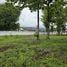 Land for sale in Mae Rim Chiang Mai, Don Kaeo, Mae Rim, Chiang Mai, Thailand