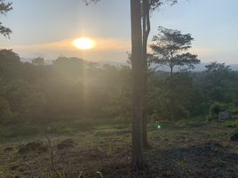  Land for sale in Colombia, Floridablanca, Santander, Colombia