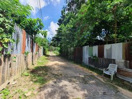  Land for sale in Rawai, Phuket Town, Rawai