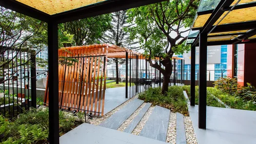 Photo 1 of the Communal Garden Area at Whizdom Avenue Ratchada - Ladprao
