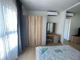 1 Schlafzimmer Wohnung zu vermieten im Supalai Veranda Ramkhamhaeng, Hua Mak, Bang Kapi, Bangkok