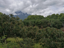  Grundstück zu verkaufen in Chiang Dao, Chiang Mai, Chiang Dao