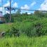  Land for sale in Sawang Daen Din, Sakon Nakhon, Sawang Daen Din, Sawang Daen Din