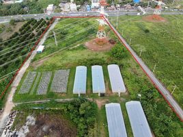  Land for sale in Nai Yang Beach, Sakhu, Mai Khao