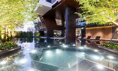 사진들 3 of the Communal Pool at The Room Sukhumvit 38