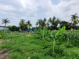  Grundstück zu verkaufen in Mueang Chon Buri, Chon Buri, Nong Ri, Mueang Chon Buri, Chon Buri
