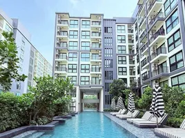 1 Bedroom Apartment for rent at ARLO Sukhumvit 105 - Lasalle, Bang Na