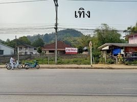  Grundstück zu verkaufen in Thoeng, Chiang Rai, Plong, Thoeng
