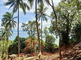  Grundstück zu verkaufen in Ko Pha-Ngan, Surat Thani, Ban Tai, Ko Pha-Ngan