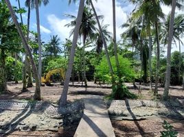  Land for sale in Ko Chang Tai, Ko Chang, Ko Chang Tai