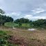  Land for sale in Klon Do, Dan Makham Tia, Klon Do