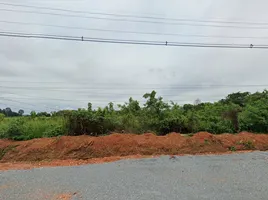  Grundstück zu verkaufen in Ban Rai, Uthai Thani, Ban Bueng