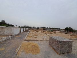  Einzelhandelsfläche zu verkaufen in Ajman Uptown, Ajman, Ajman Uptown Villas