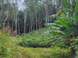  Grundstück zu verkaufen in Takua Thung, Phangnga, Lo Yung