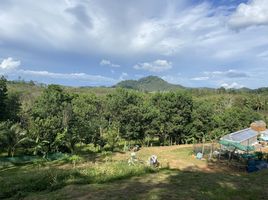  Grundstück zu verkaufen in Takua Thung, Phangnga, Tha Yu, Takua Thung