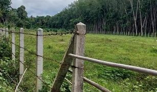 N/A Grundstück zu verkaufen in Khao Chaison, Phatthalung 