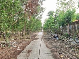  Grundstück zu verkaufen in Khlong Luang, Pathum Thani, Khlong Si