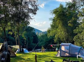 70 Schlafzimmer Hotel / Resort zu verkaufen in Kaeng Krachan, Phetchaburi, Kaeng Krachan, Kaeng Krachan, Phetchaburi