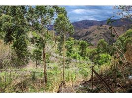  Land for sale in Loja, Yangana Arsenio Castillo, Loja, Loja