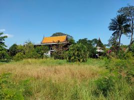  Grundstück zu verkaufen in Phra Pradaeng, Samut Prakan, Bang Hua Suea, Phra Pradaeng, Samut Prakan