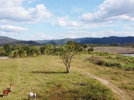  Land for sale in Chiang Mai, Huai Sai, San Kamphaeng, Chiang Mai