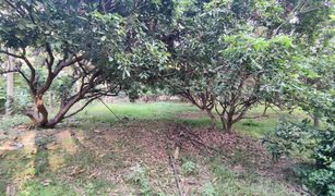 N/A Land for sale in Rong Wua Daeng, Chiang Mai 