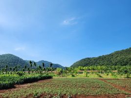  Land for sale in Chon Noi, Phatthana Nikhom, Chon Noi