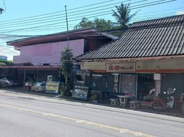  Grundstück zu verkaufen in Fang, Chiang Mai, Wiang, Fang, Chiang Mai