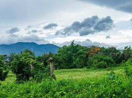 ขายที่ดิน ใน แม่ริม เชียงใหม่, เหมืองแก้ว