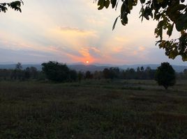  Grundstück zu verkaufen in Mae Taeng, Chiang Mai, Sop Poeng