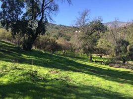  Land for sale in Quillota, Quillota, Quillota