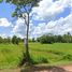  Land for sale in Phon Na Kaeo, Sakon Nakhon, Chiang Sue, Phon Na Kaeo