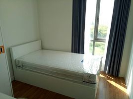 2 Bedroom Condo for rent at Voque Place Sukhumvit 107, Bang Na, Bang Na
