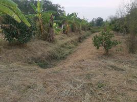  Grundstück zu verkaufen in Nong Saeng, Saraburi, Kai Sao, Nong Saeng