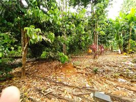  Land for sale in Mueang Phangnga, Phangnga, Tham Nam Phut, Mueang Phangnga