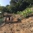  Land for sale in Rawai, Phuket, Rawai, Phuket Town, Phuket