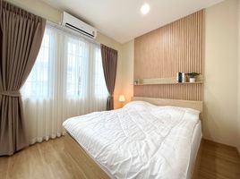 2 Schlafzimmer Reihenhaus zu vermieten im Golden Neo Sukhumvit Lasalle, Samrong Nuea