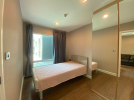 2 Schlafzimmer Appartement zu vermieten im The Crest Sukhumvit 49, Khlong Tan Nuea