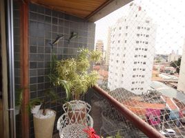3 Bedroom House for sale at Campinas, Campinas, Campinas