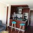 1 Schlafzimmer Appartement zu vermieten im Las Condes, San Jode De Maipo, Cordillera