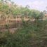  Land for sale in Rayong, Wang Wa, Klaeng, Rayong