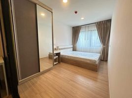 1 Schlafzimmer Appartement zu vermieten im Chewathai Hallmark Ladprao-Chokchai 4, Saphan Song