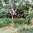  Land for sale in Mueang Nakhon Ratchasima, Nakhon Ratchasima, Nong Chabok, Mueang Nakhon Ratchasima